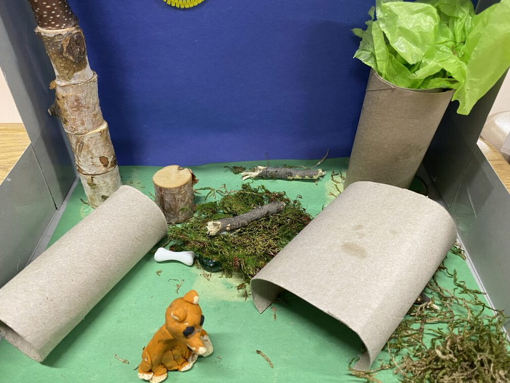 Clay fox in it's habitat - forest 