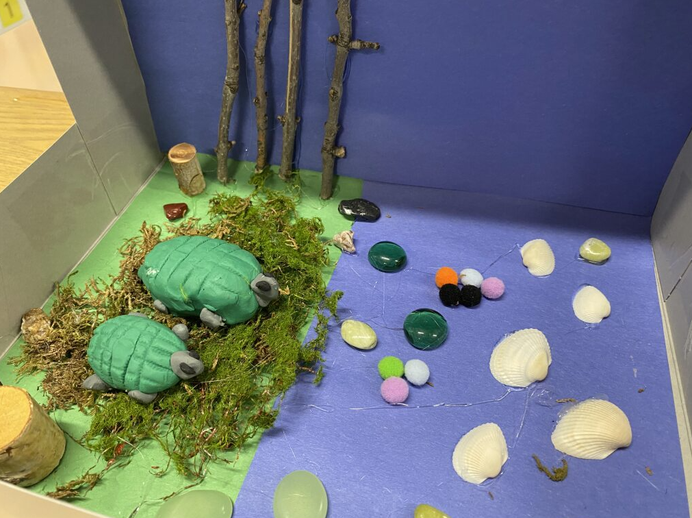 Two turtles in their habitat - pond