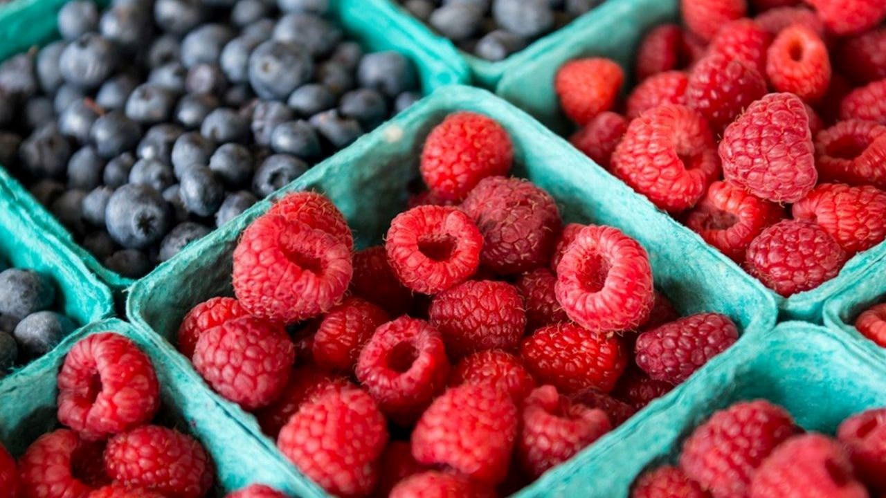 Photograph showing multiple green cartons filled with fresh blueberries and raspberries arranged in alternating rows.