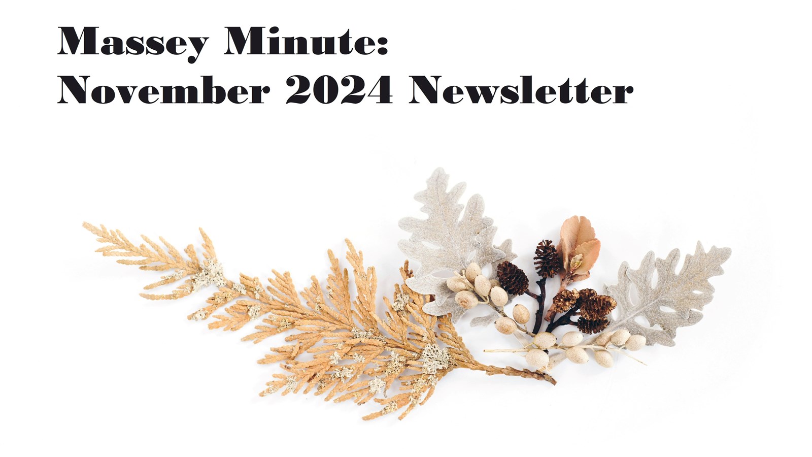 Nov Newsletter Thumbnail
